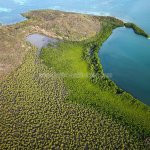 Ciric Tour - mangrove - nature - sortie en mer - fort de france - ducos - martinique - antilles - caraibes