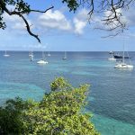 Celvine croisière en catamaran en Martinique, les Grenadines, Caraïbes Nord