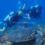 Plongée Madiana Blue Plaisir - club de plongee - plongee en mer - diamant - rocher - martinique - antilles - caraibes