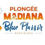 Plongée Madiana Blue Plaisir - club de plongee - plongee en mer - diamant - rocher - martinique - antilles - caraibes