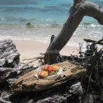 TessXpress - traiteur - chef à domicile - lunch - luxe - Ducos - Martinique - antilles - Caraibes