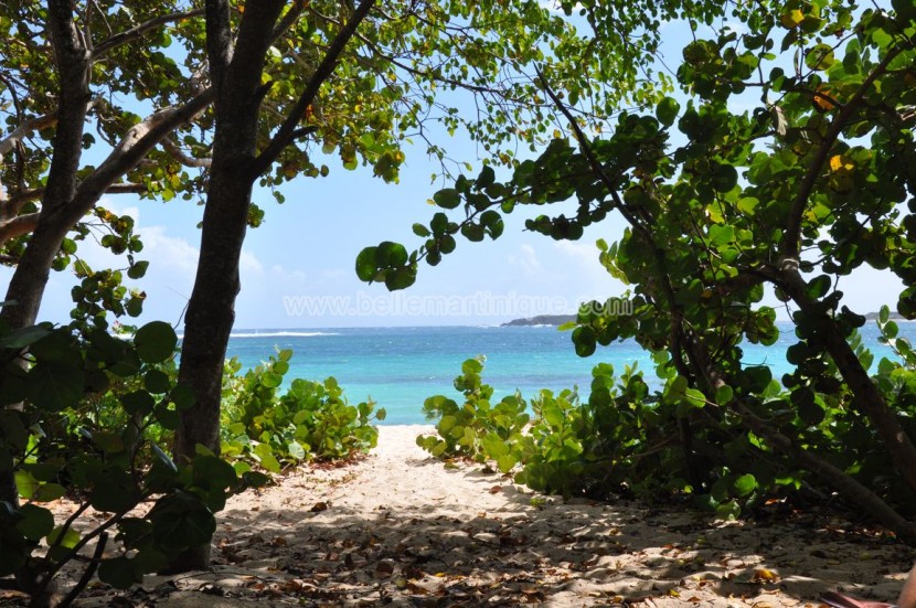 Sentiers-rando-petit-macabou-martinique