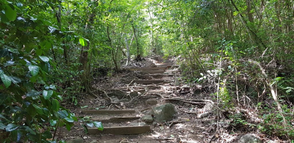 Martinique-randonnée-pointe-rouge