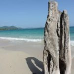 Résidence Hôtelière - Les Cayalines - sainte luce - martinique - antilles - caraibes