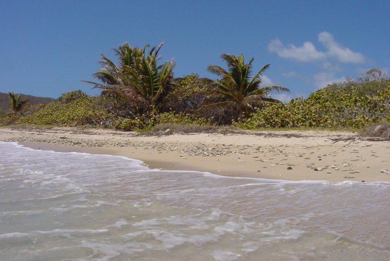 Plage-anse-trabaut-sainte-anne-martinique