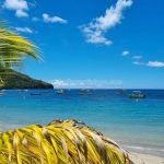 Belle Martinique