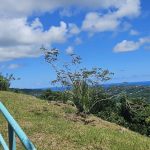 Belle Martinique