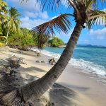 Belle Martinique