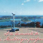 Belle Martinique