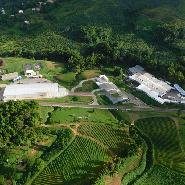 usine-royal-denel-gros-morne-martinique