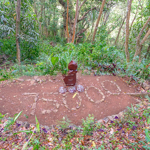 jardin-mémoire-an-mao-martinique-
