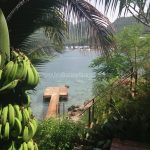 Belle Martinique