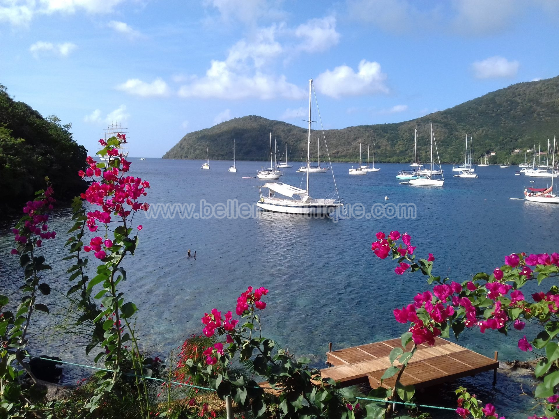 Belle Martinique