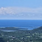Belle Martinique