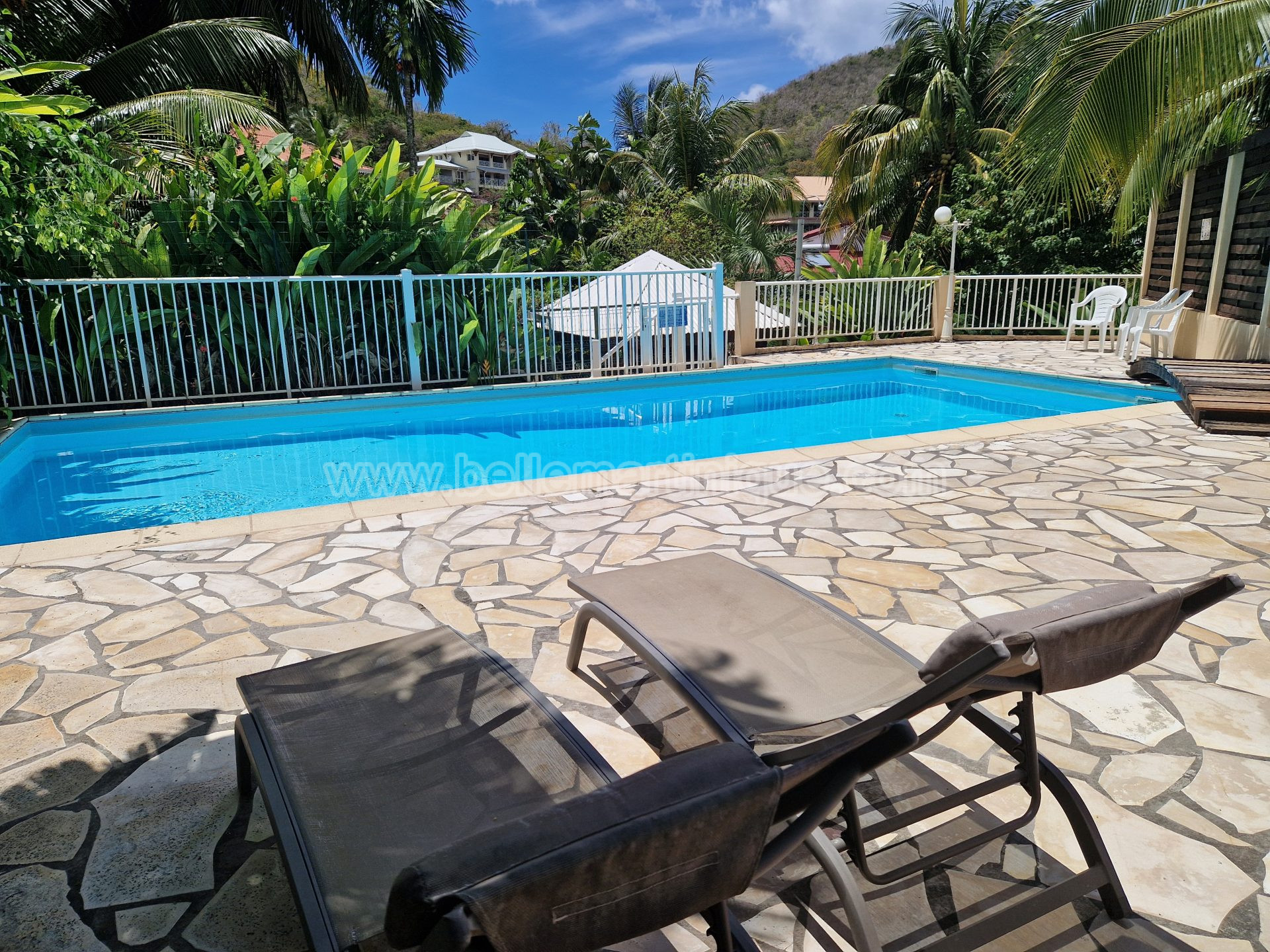 Belle Martinique