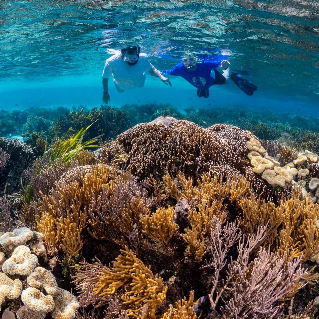 plongee-masque-tuba-snorkeling-martinique