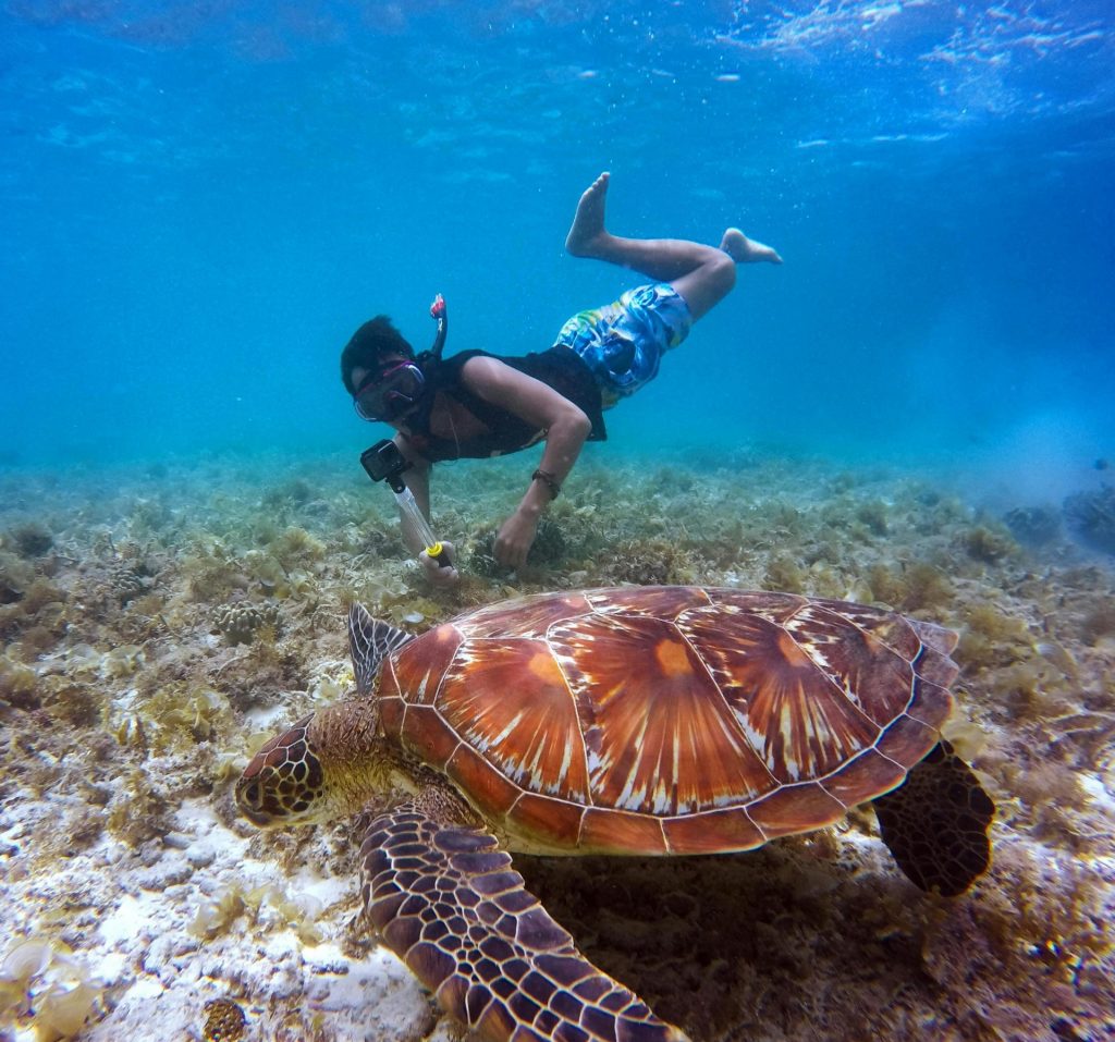 sortie-snorkeling-martinique