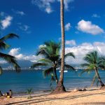 Belle Martinique