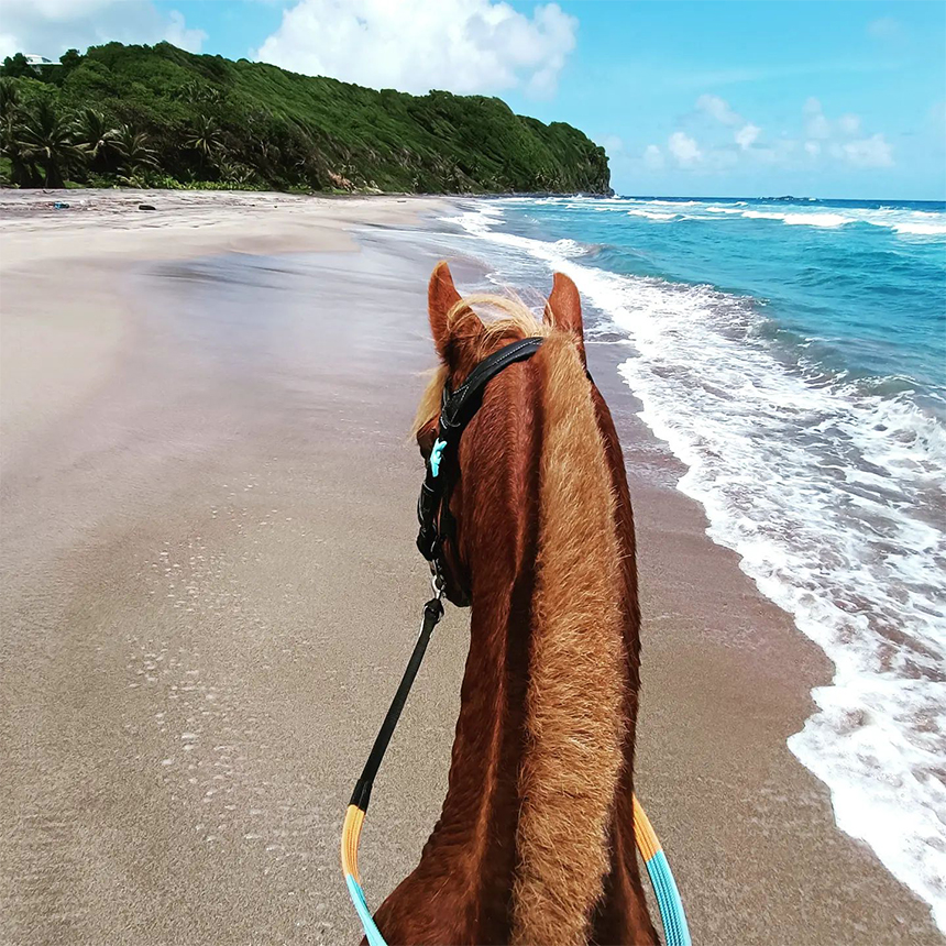 randonnee-cheval-martinique