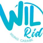 Wil Rid – E Foil et E Surf électrique - wing surf - Riding Caraibe - village de la poterie - les trois ilets - martinique - caraibe - antilles