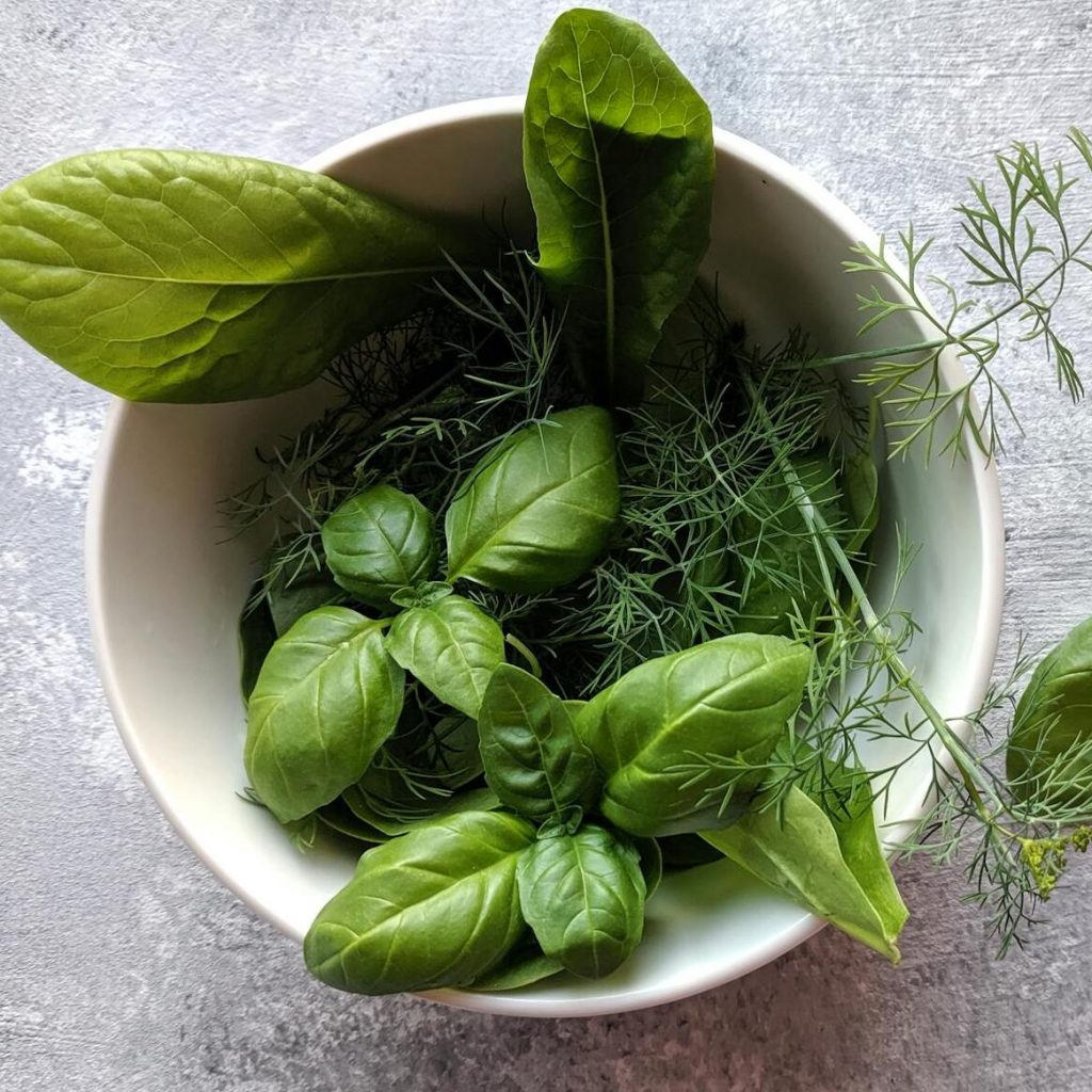 herbe-aromate-recette-antillaise-martinique
