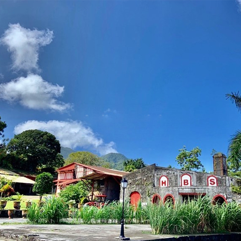hbs-rhumerie-grand-riviere-spiritourisme-martinique-
