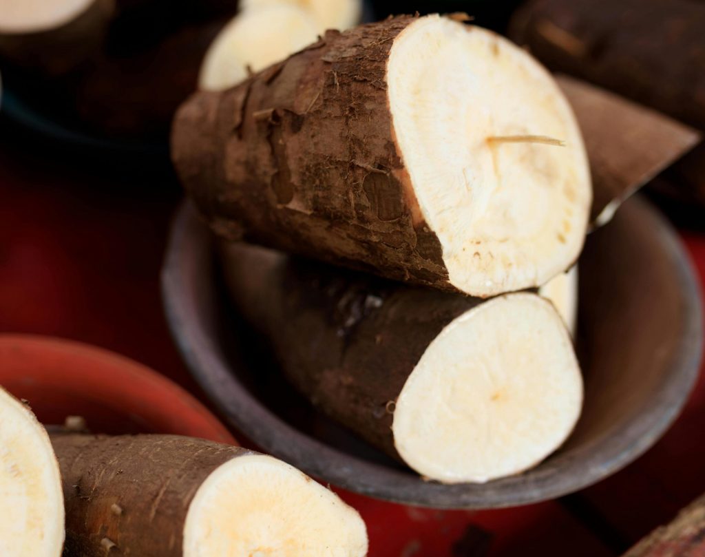 tubercule-manioc-legume-pays-martinique