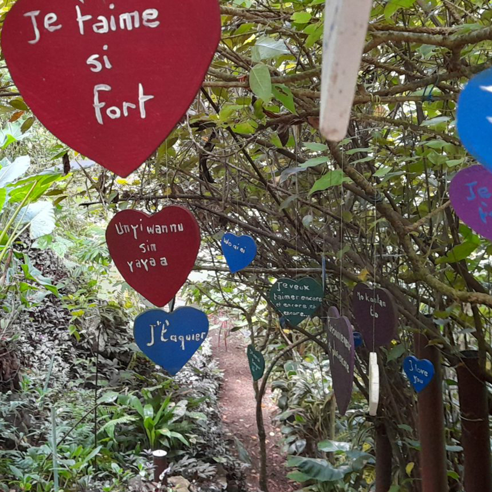 jardin-paysager-an-mao-martinique