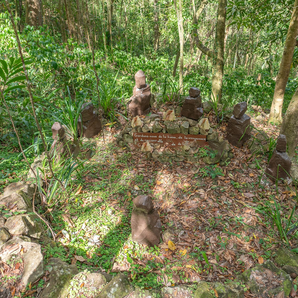 jardin-an-mao-martinique-1