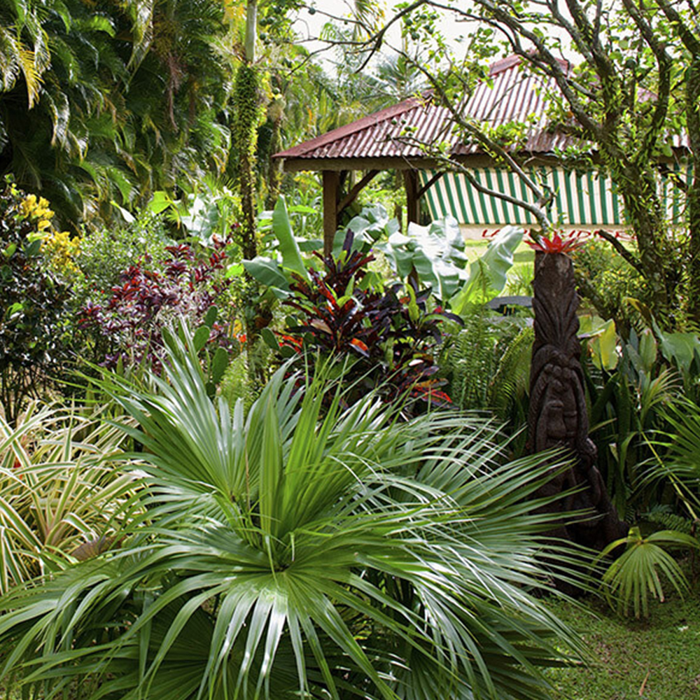 jardin-la-chaudiere-martinique