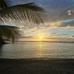 Belle Martinique