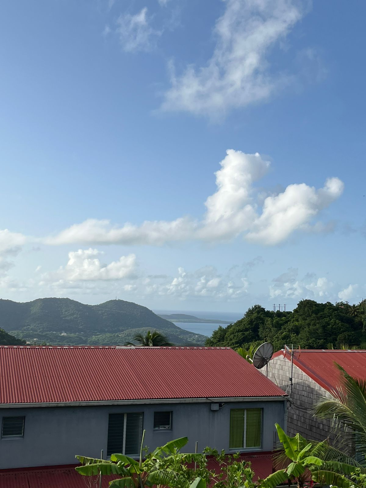 Belle Martinique