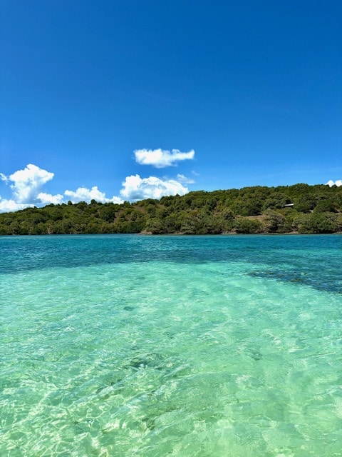 Belle Martinique