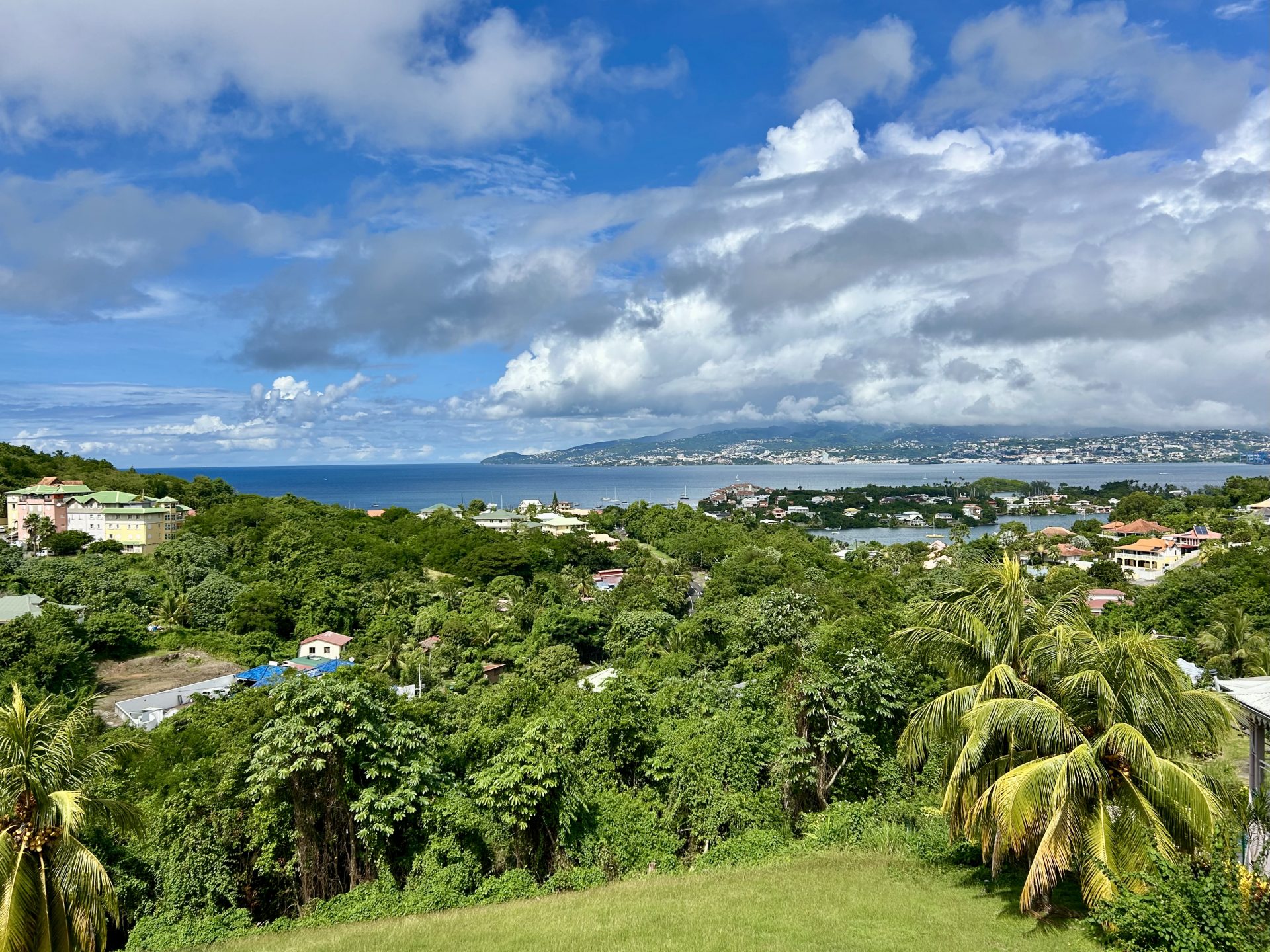 Belle Martinique