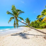 Madin Voile Verte - excursion - croisiere en mer - martinique - antilles - caraibes