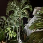 Belle Martinique