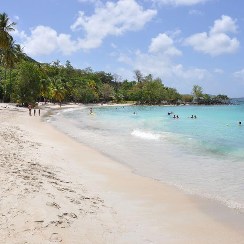 Plage-anse-figuier-riviere-pilote-sud-martinique