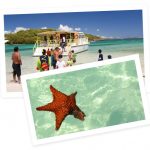 La Belle Kreole - Excursion - baignoire Josephine - fond blanc - le francois - le robert - martinique - Antilles - caraibes