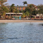 Belle Martinique