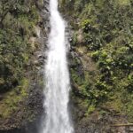 Belle Martinique