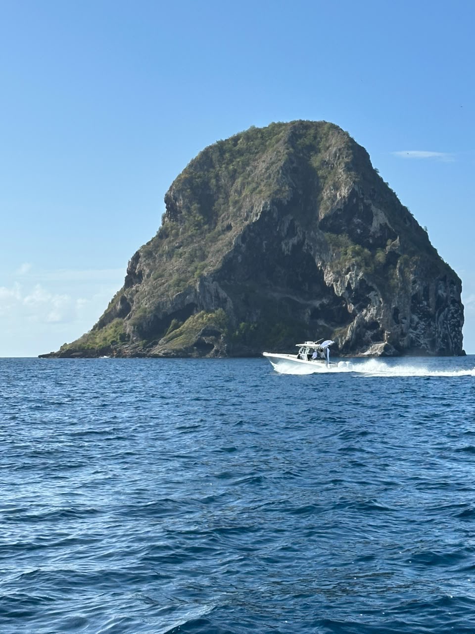 Belle Martinique
