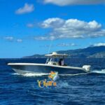 Chill'n Sea - excursion en mer - sortie en mer - mer caraibes - martinique - antilles - caraibes