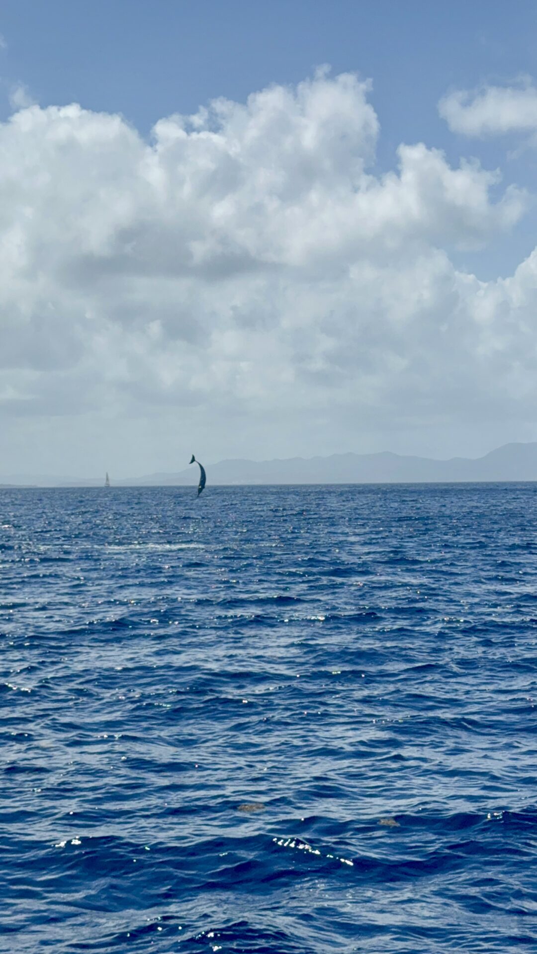 Belle Martinique