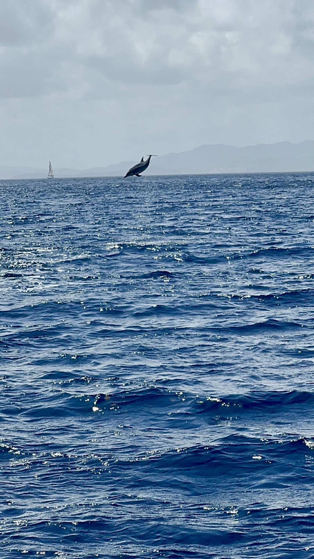 Belle Martinique