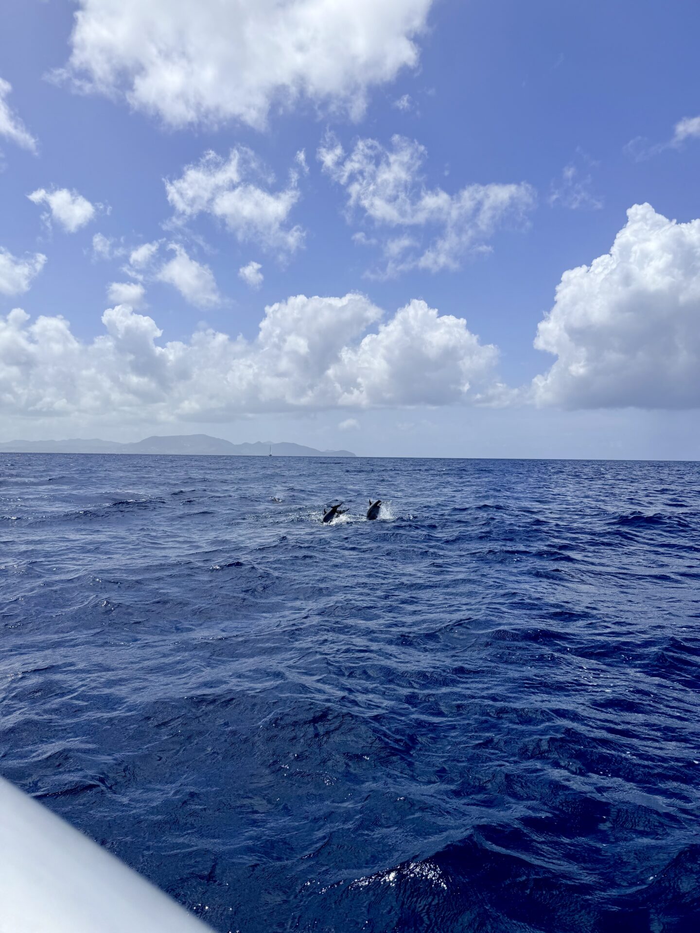Belle Martinique