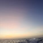 Belle Martinique