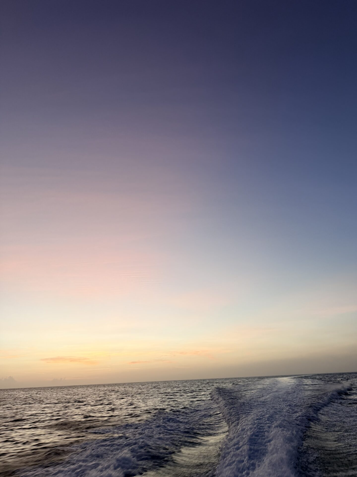 Belle Martinique