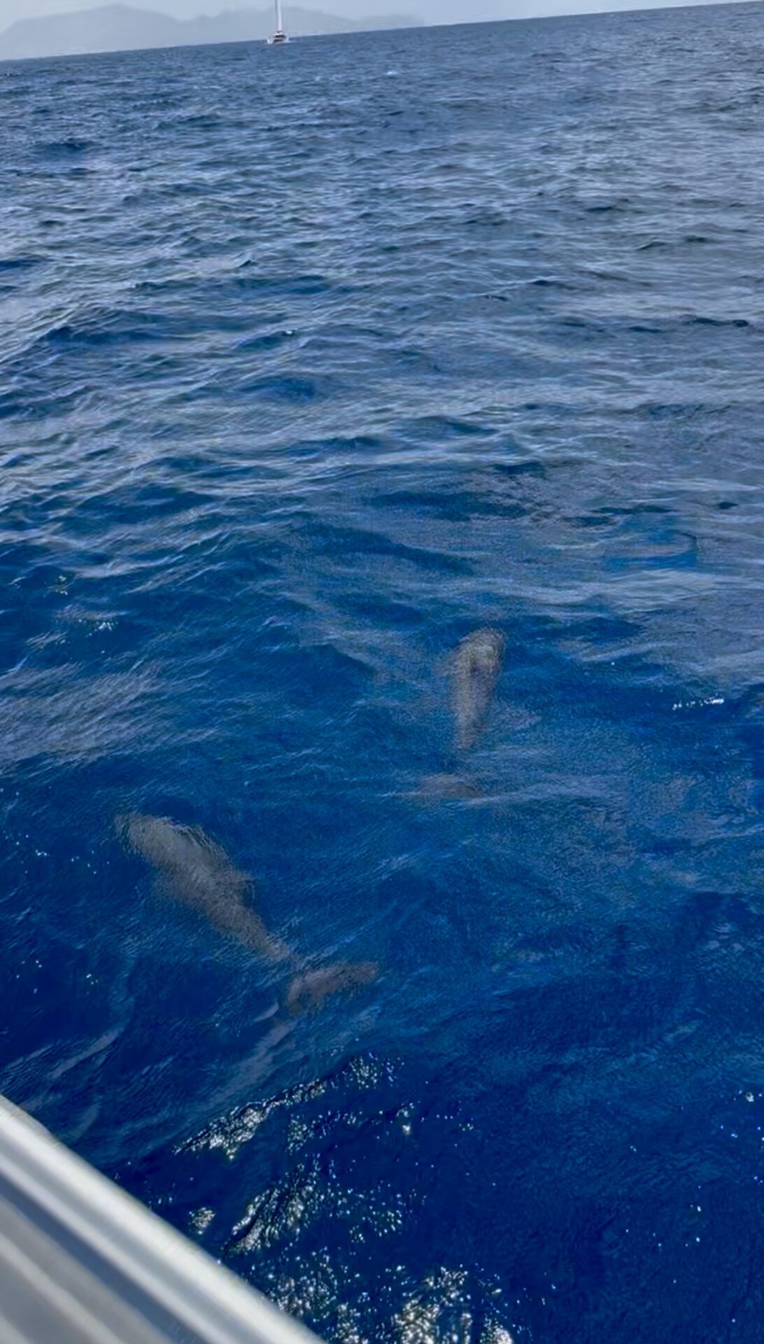 Belle Martinique