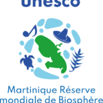 Belle Martinique