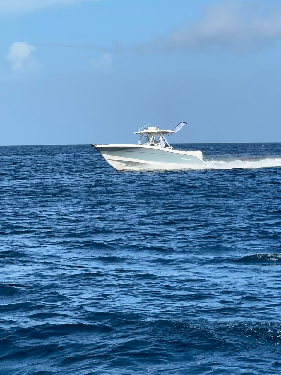 Belle Martinique